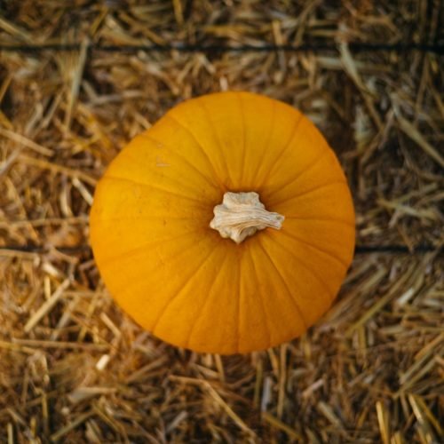 Autumn Is Near